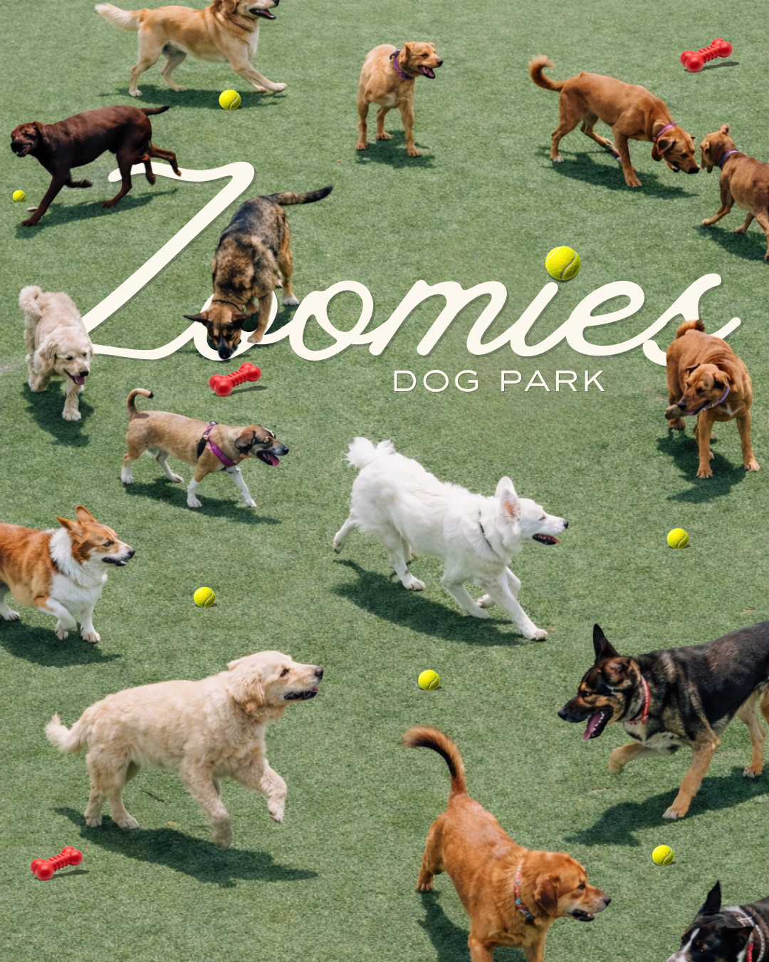 Zoomies Dog Park